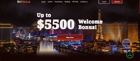 bovegas complaints|Casino Complaints for BoVegas Casino .